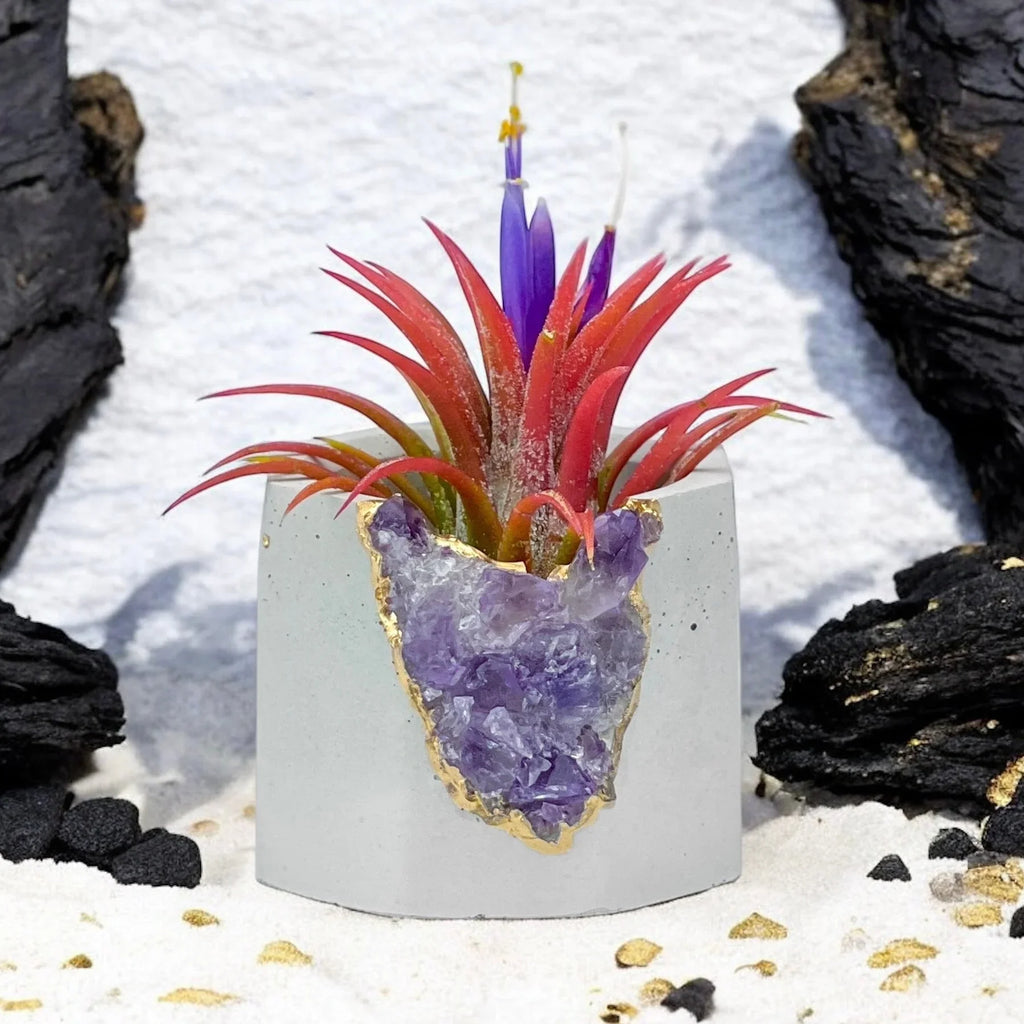 Purple amethyst geode planter, natural stone decorative pot - House of Avana