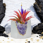 Purple amethyst geode planter, natural stone decorative pot - House of Avana