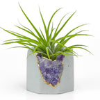 Amethyst Geode Planter, Natural Brazilian Stone, Purple Home Decor, angled view - House Of Avana