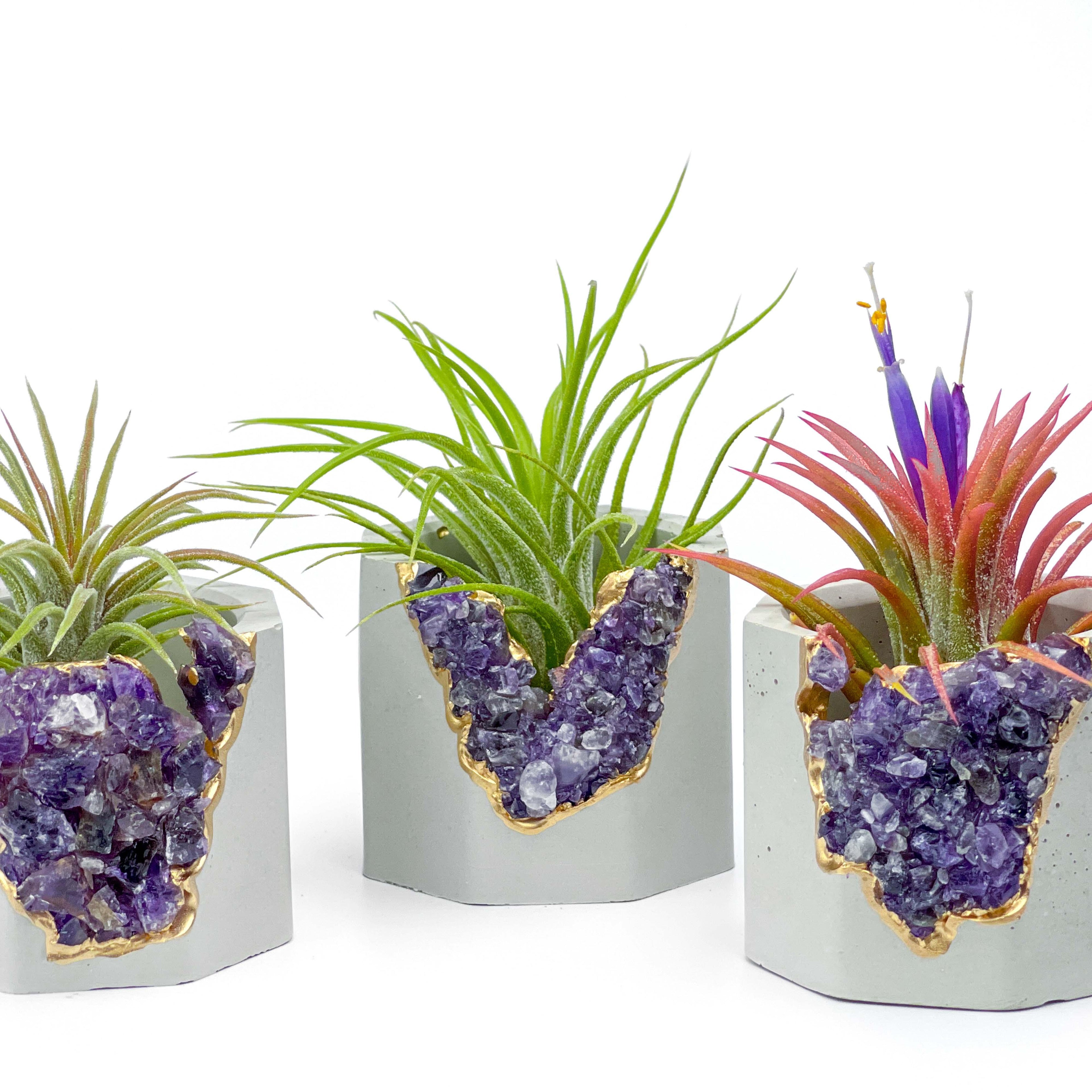 Amethyst Geode Planter Natural Stone Indoor Decorative Container, back view - House Of Avana