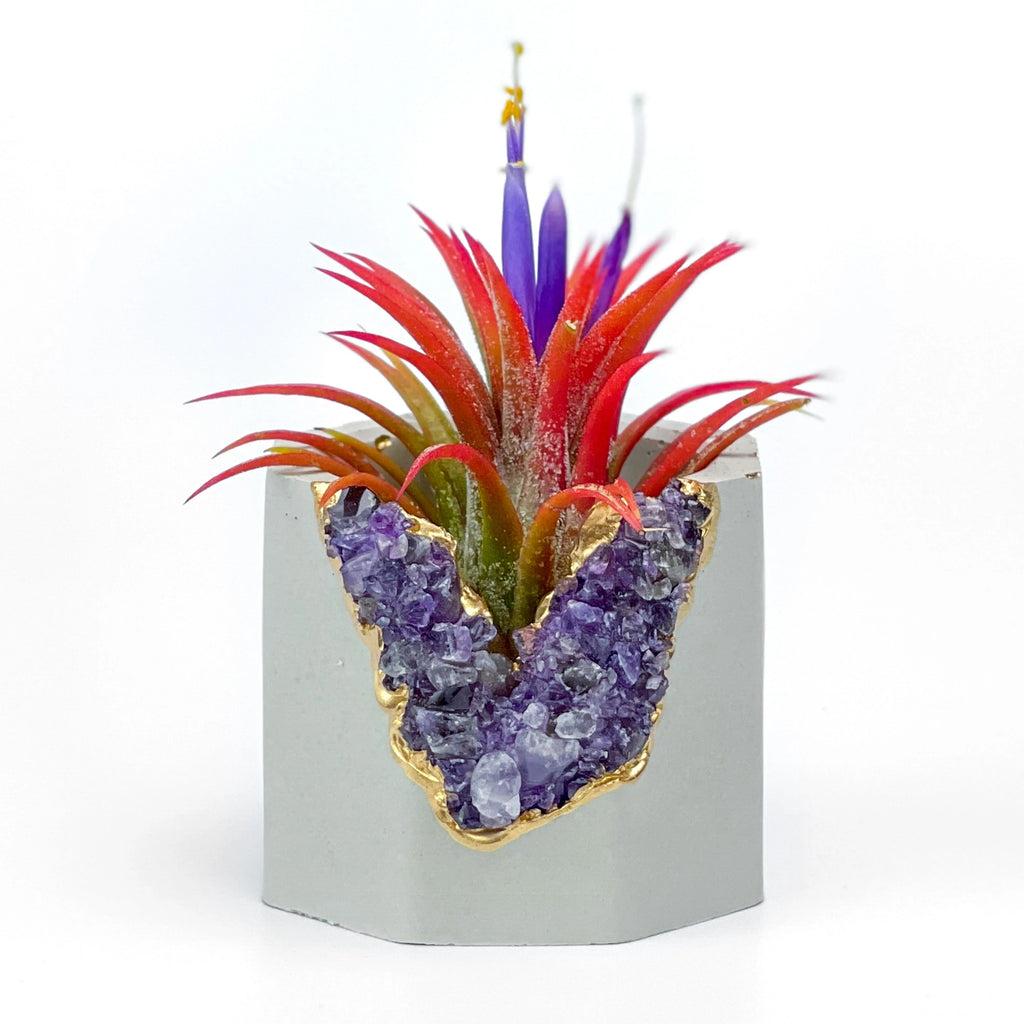 Amethyst Geode Planter Natural Stone Indoor Decorative Container, detail shot - House Of Avana
