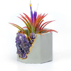 Amethyst Geode Planter Natural Stone Indoor Decorative Container, angled view - House Of Avana