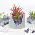 Amethyst Geode Planter Natural Stone Indoor Decorative Container, angled view - House Of Avana