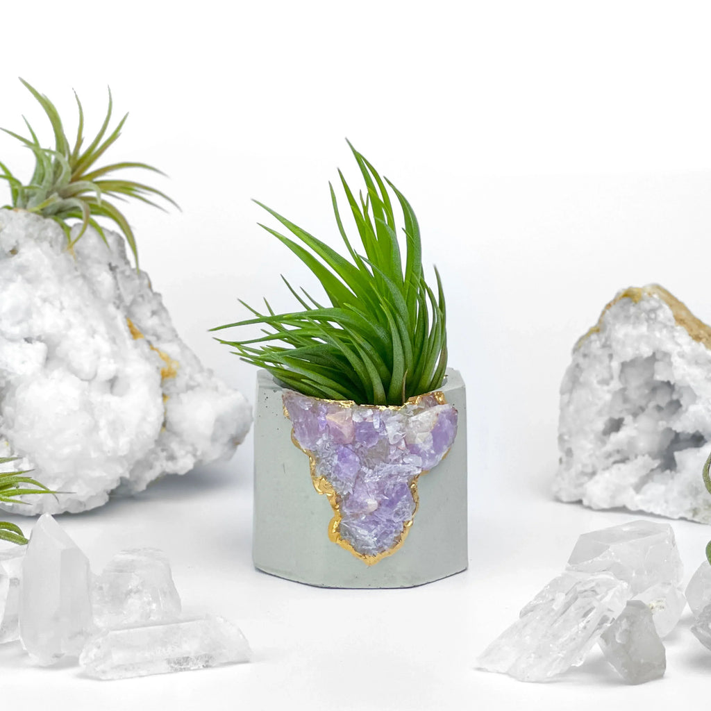 Amethyst Geode Planter, Natural Stone Madagascar Crystal Home Decor, back view - House Of Avana