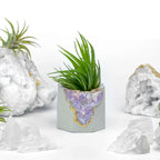 Amethyst Geode Planter, Natural Stone Madagascar Crystal Home Decor, back view - House Of Avana