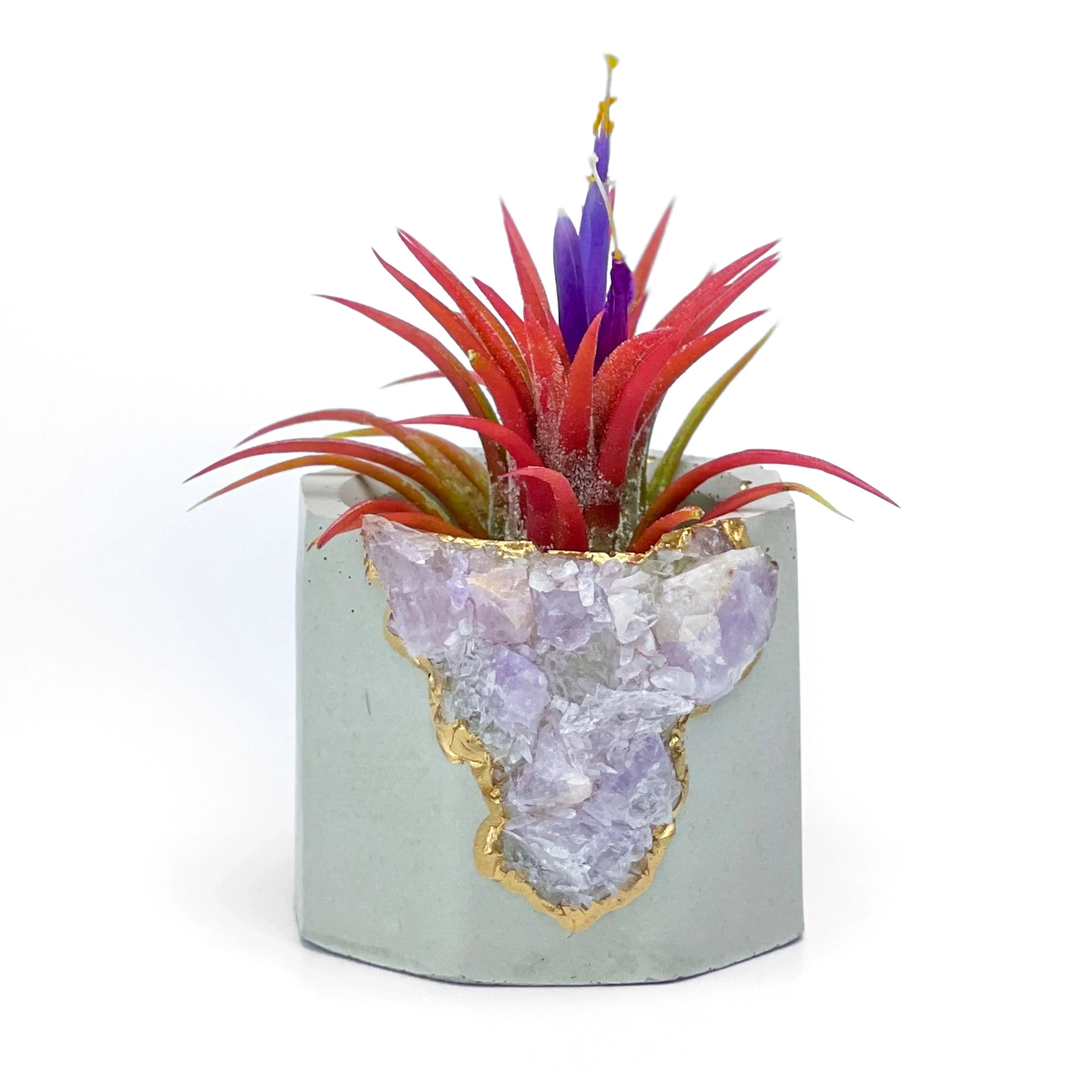 Amethyst Geode Planter, Natural Stone Madagascar Crystal Home Decor, side view - House Of Avana