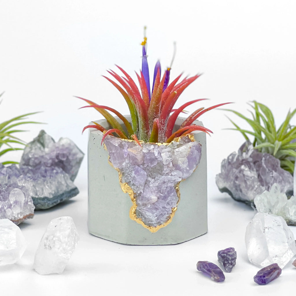 Amethyst Geode Planter, Natural Stone Madagascar Crystal Home Decor, lifestyle image - House Of Avana