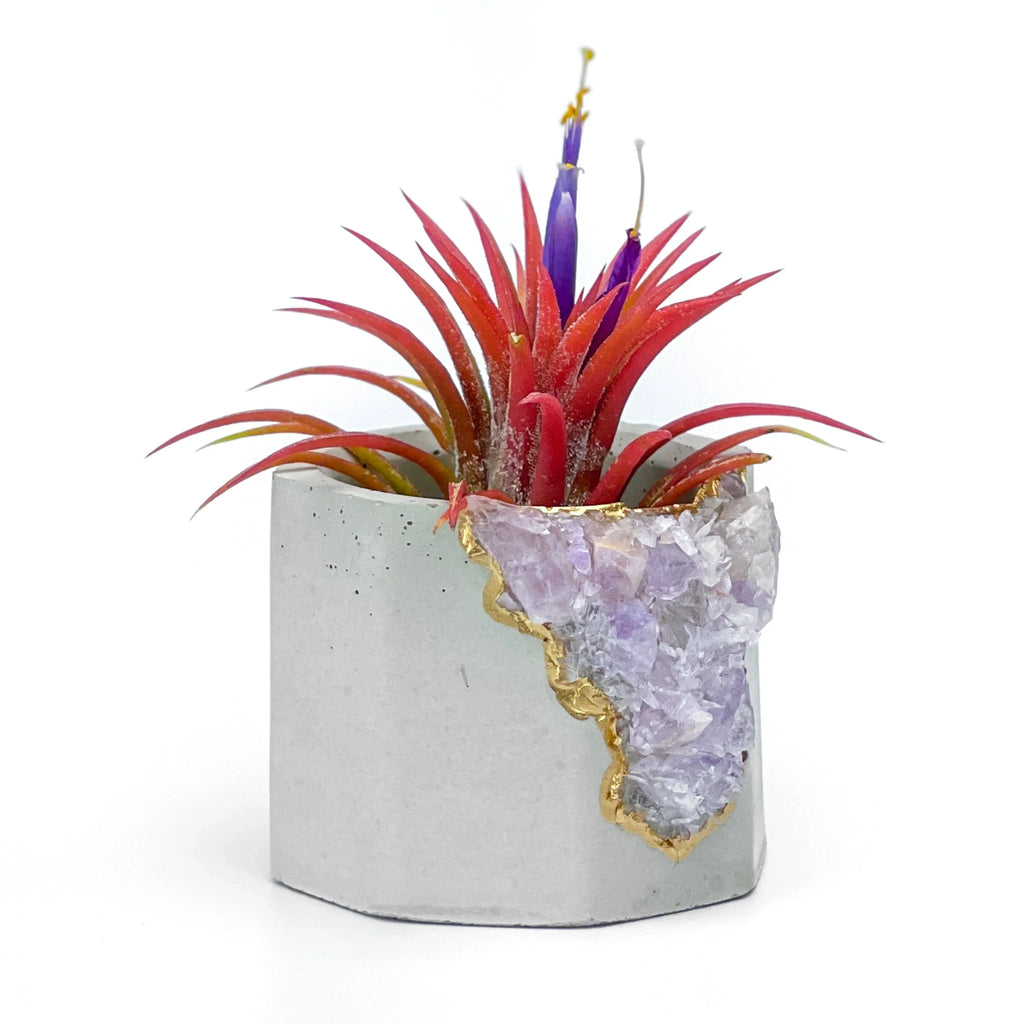 Amethyst Geode Planter, Natural Stone Madagascar Crystal Home Decor, angled view - House Of Avana