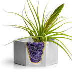 Amethyst Geode Planter Natural Stone Purple Home Decor Accent, side view - House Of Avana