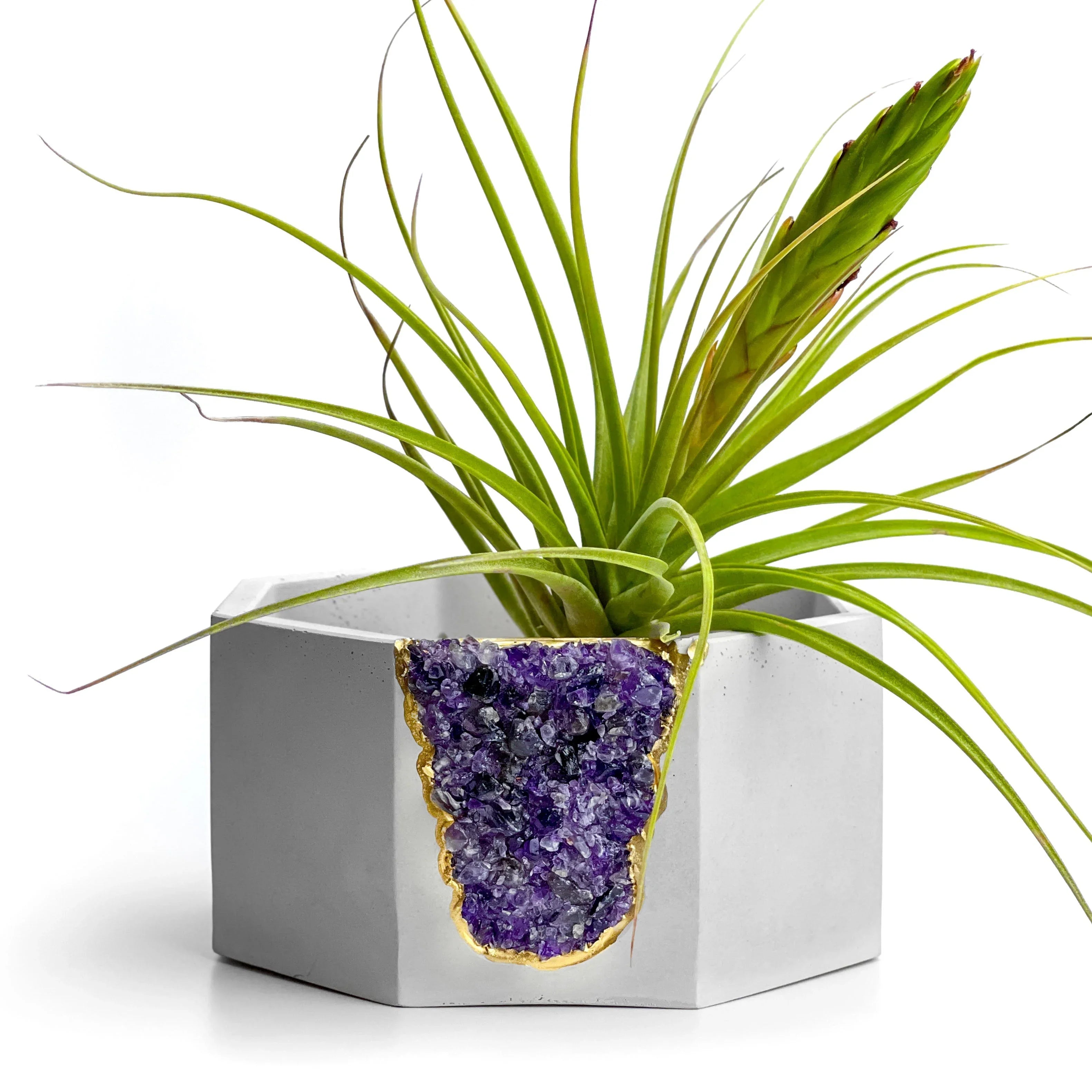 Amethyst Geode Planter Natural Stone Purple Home Decor Accent, side view - House Of Avana