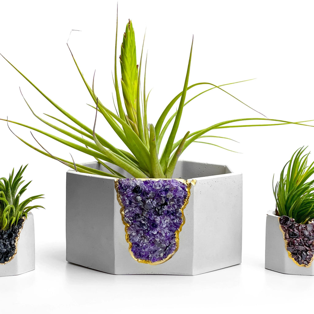 Amethyst Geode Planter Natural Stone Purple Home Decor Accent, lifestyle image - House Of Avana
