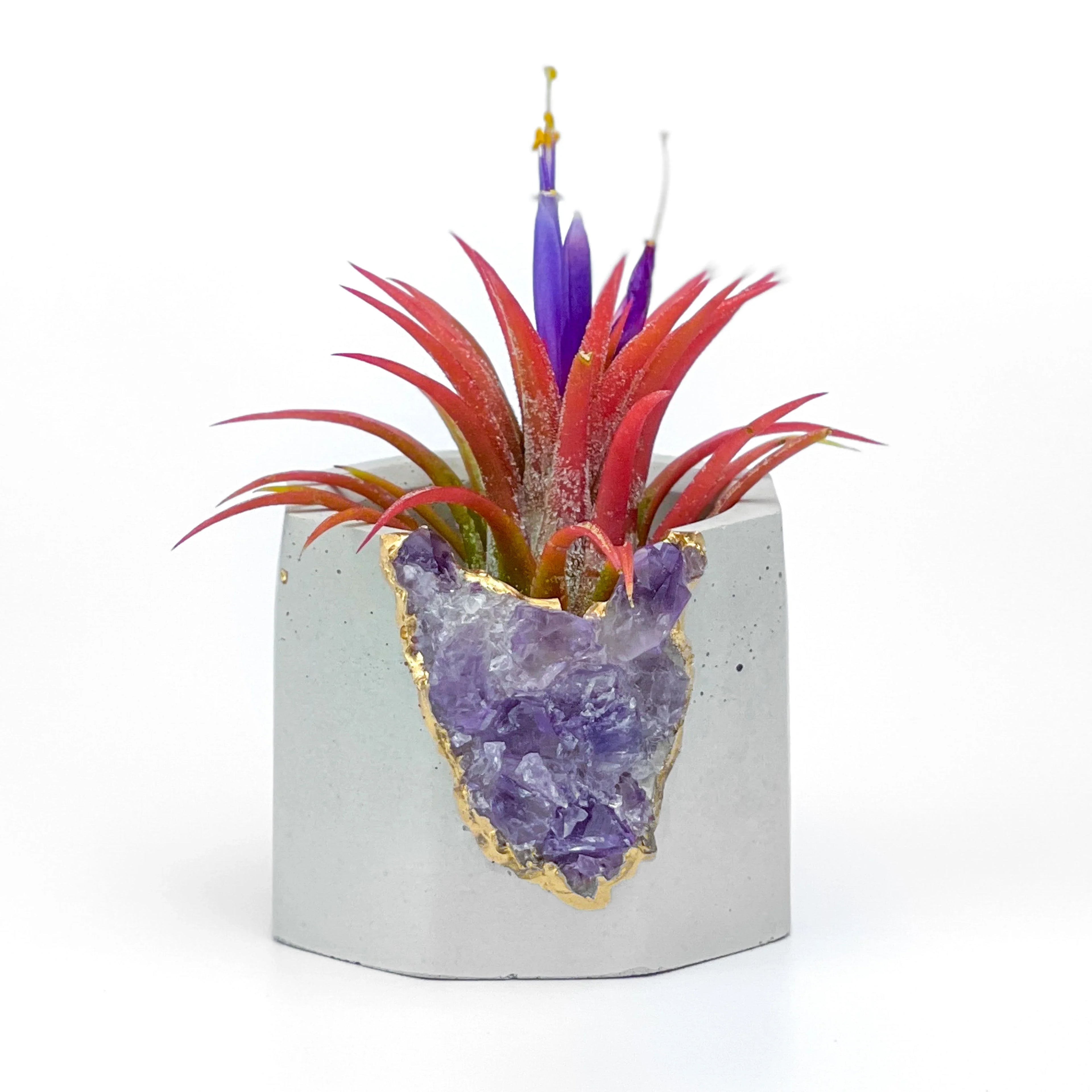 Purple amethyst geode planter, natural stone decorative pot - House of Avana