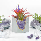 Purple amethyst geode planter, natural stone decorative pot - House of Avana