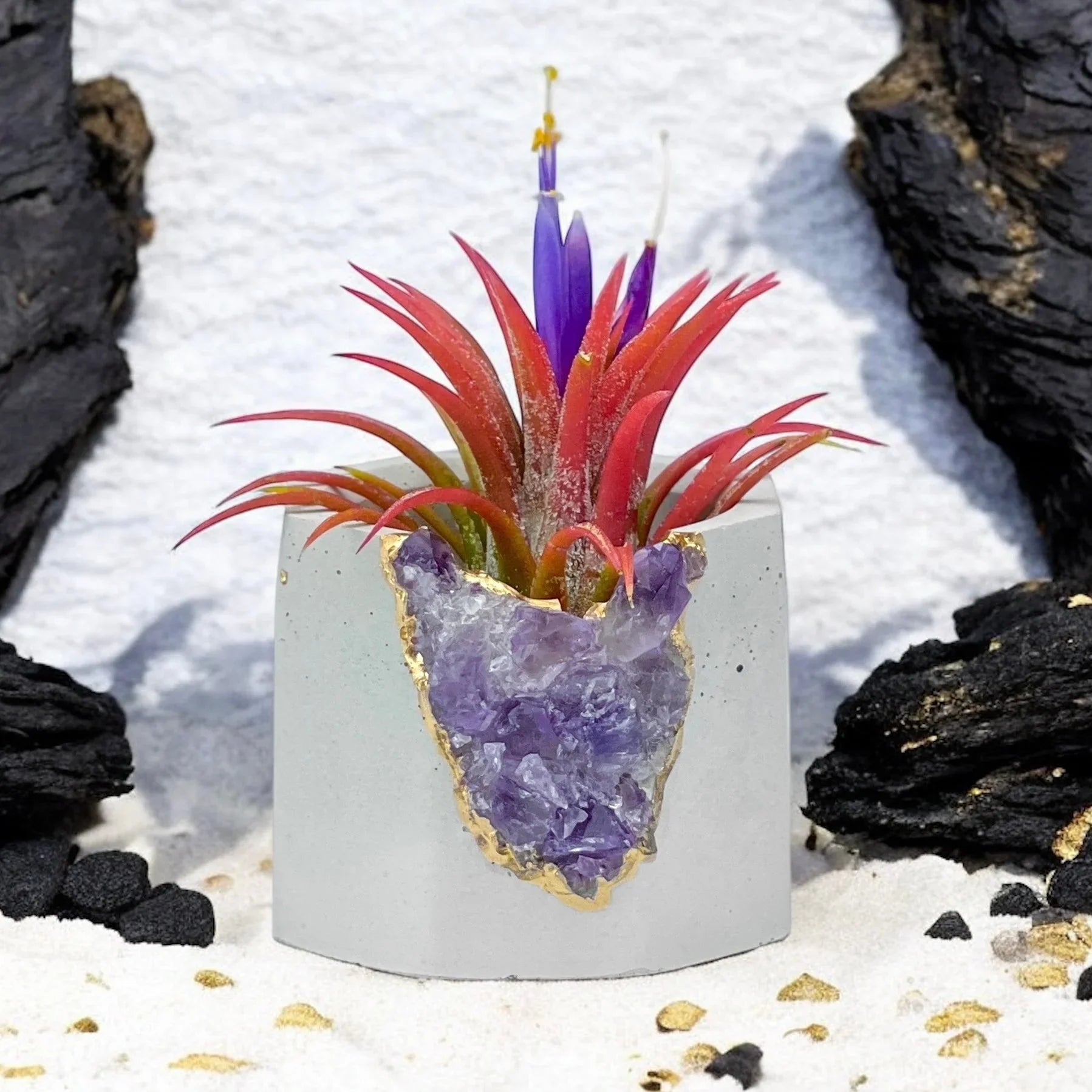 Purple amethyst geode planter, natural stone decorative pot - House of Avana