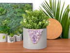 Amethyst Glass Inch Planter for Plants and Flowers, side view - House Of Avana