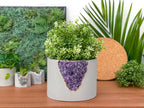 Purple amethyst planter, 6 inch ceramic container - House of Avana