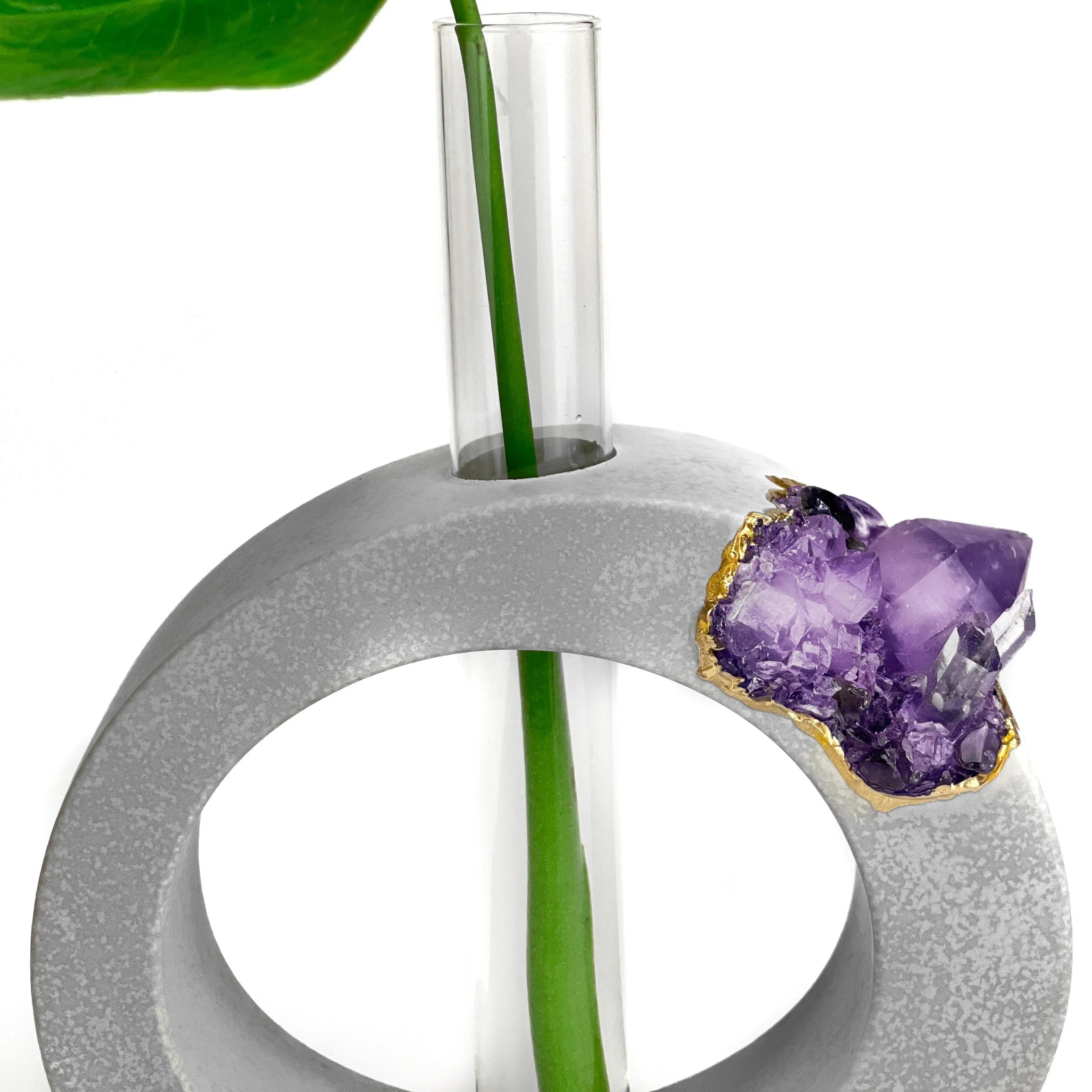 AMETHYST PROPAGATION STATION - House of Avana