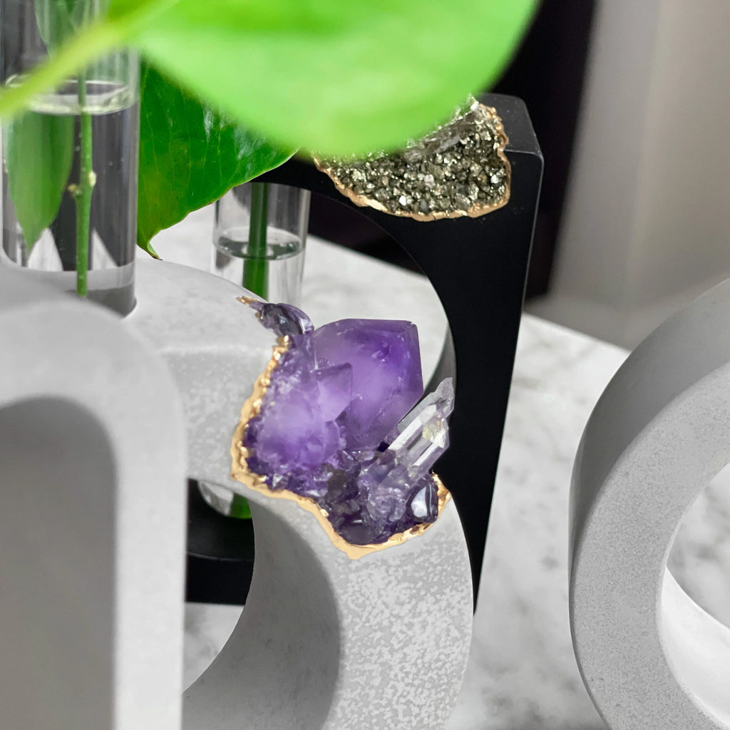 AMETHYST PROPAGATION STATION - House of Avana