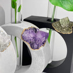 AMETHYST PROPAGATION STATION - House of Avana