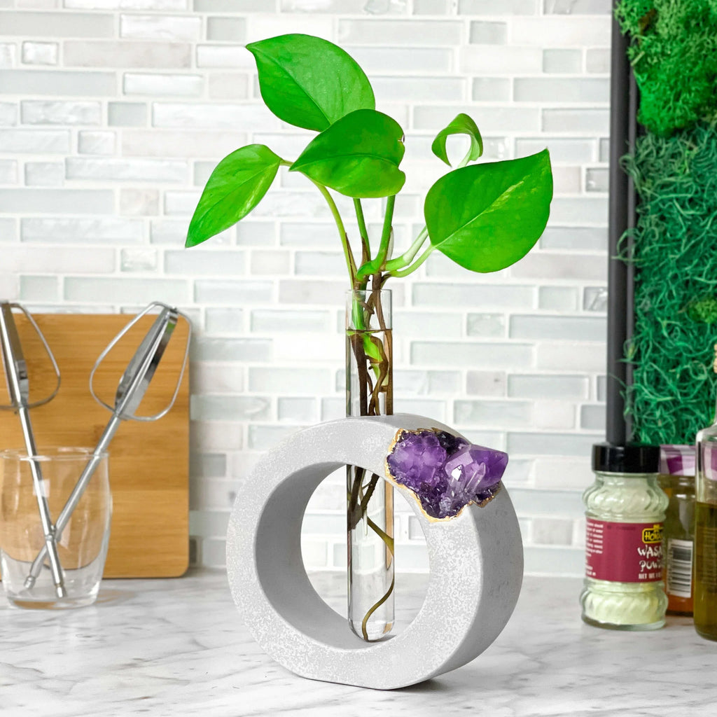 AMETHYST PROPAGATION STATION - House of Avana