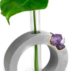 AMETHYST PROPAGATION STATION AURA 8 HOME