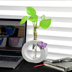 AMETHYST PROPAGATION STATION AURA 8 HOME