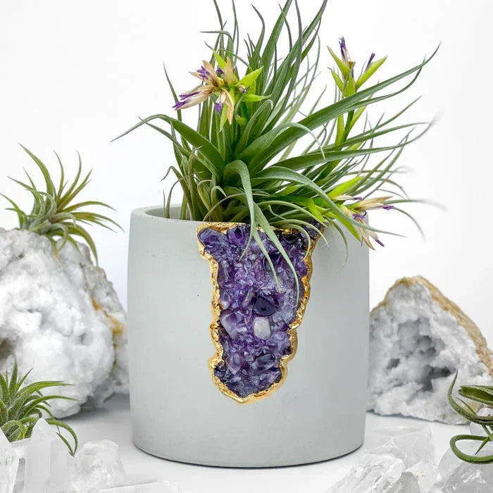 Amethyst Purple Glass Layer Aura Planter, front view - House Of Avana
