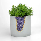 Amethyst Purple Glass Layer Aura Planter, back view - House Of Avana