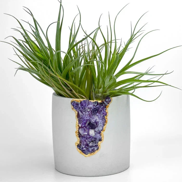 Amethyst Purple Glass Layer Aura Planter, side view - House Of Avana