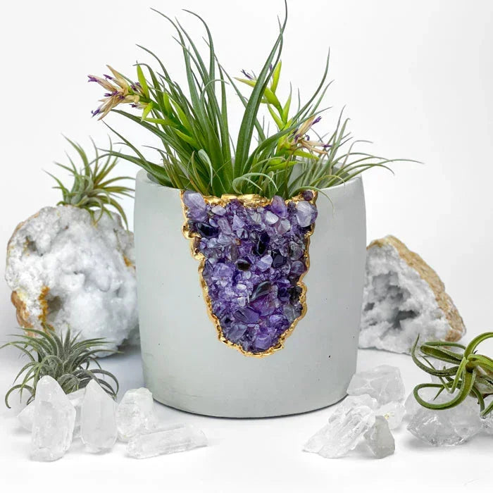 N°5 AMETHYST AURA PLANTER AURA 8 HOME