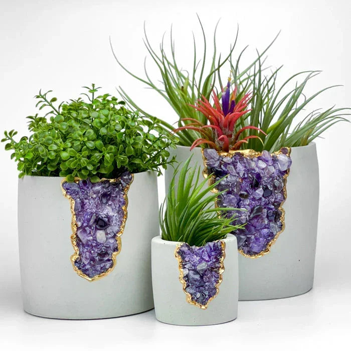 N°5 AMETHYST AURA PLANTER AURA 8 HOME