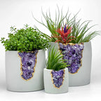 N°5 AMETHYST AURA PLANTER AURA 8 HOME