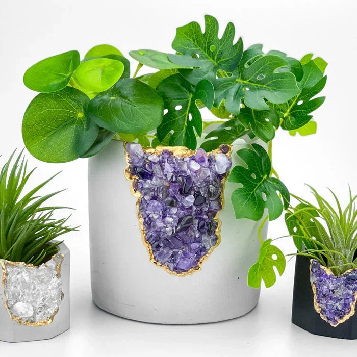 N°5 AMETHYST AURA PLANTER AURA 8 HOME