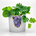 Amethyst Purple Glass Layer Planter with Aura Design, angled view - House Of Avana