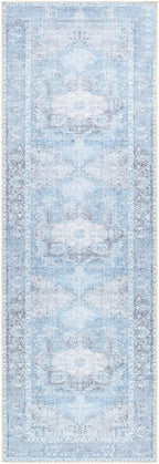 Aqua Rosman Washable Area Rug Hauteloom