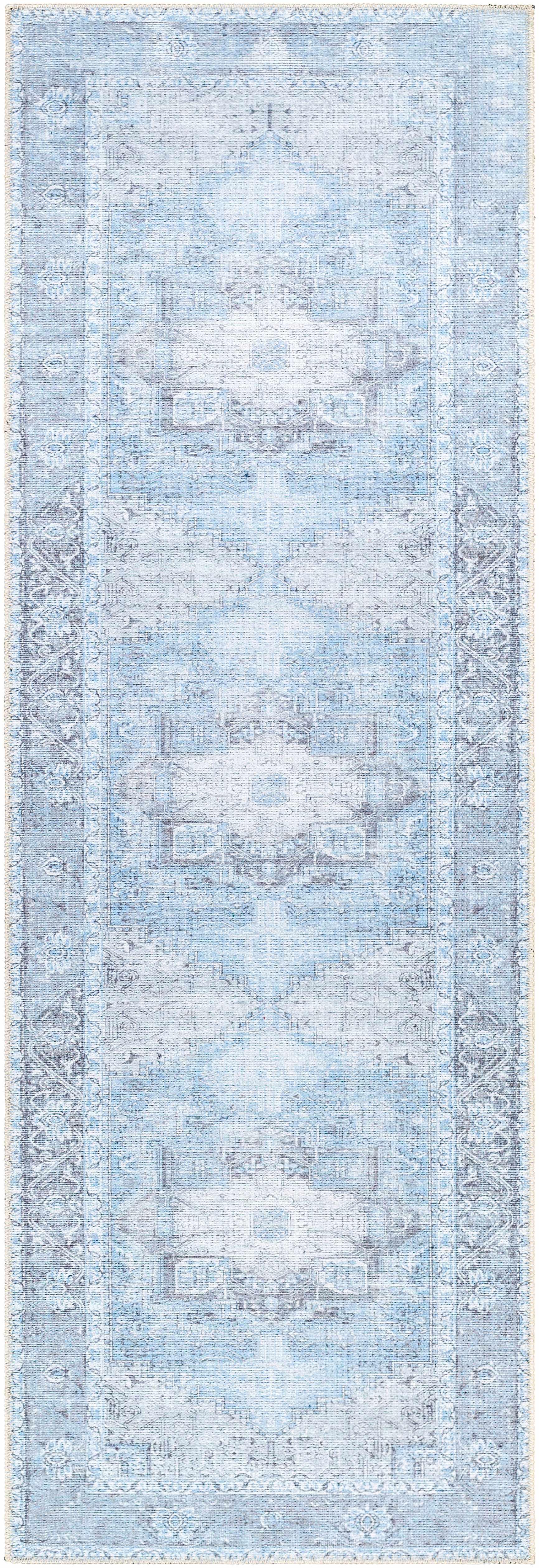 Aqua Rosman Washable Area Rug Hauteloom