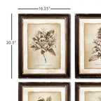 Antique Botanical Illustrations in Wood Frames (Set of 6) - House of Avana