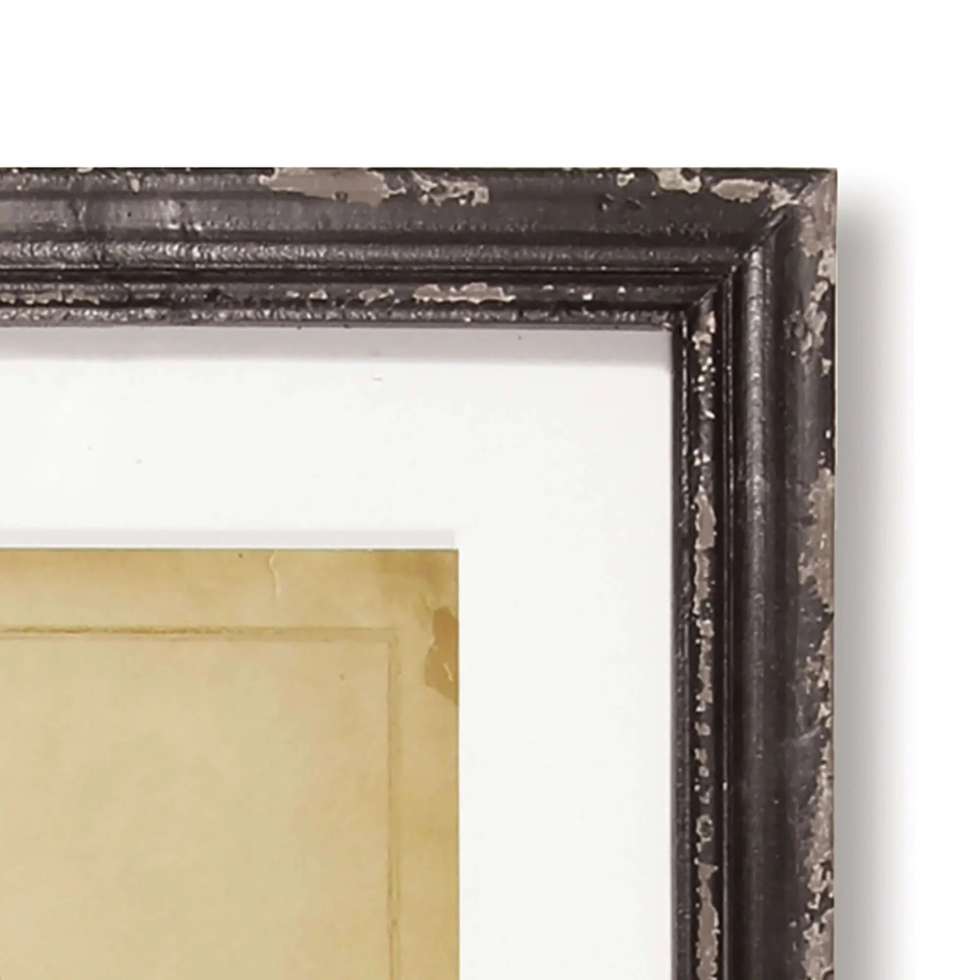 Antique Framed Botanical Fern Prints (Set of 8) Vintage Shopper