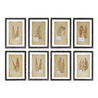 Antique Framed Botanical Fern Prints (Set of 8) Vintage Shopper