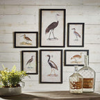 Vintage framed bird prints, ornate gold frames, set of 6 - House of Avana