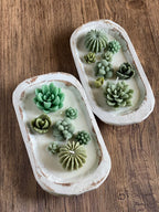 Arizona Dream Cactus Wooden Bowl Candle Crazy About Candles