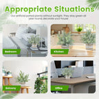 Green artificial eucalyptus potted plants in ceramic flowerpots, realistic decor - House of Avana
