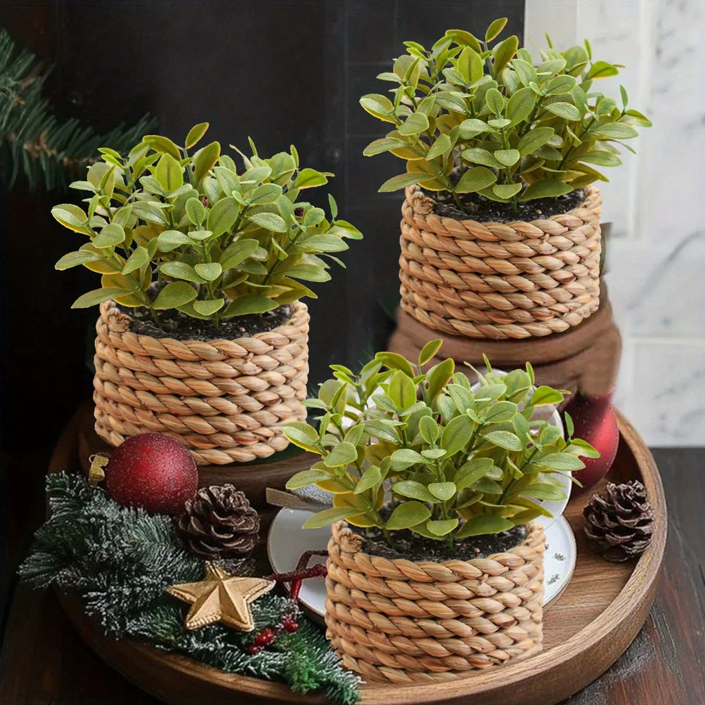Green artificial fern potted plant with white PE finish and woven mimosa rope - House of Avana