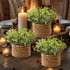 Green artificial fern potted plant with white PE finish and woven mimosa rope - House of Avana
