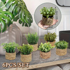 Green artificial fern potted plant with white PE finish and woven mimosa rope - House of Avana