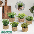 Green artificial fern potted plant with white PE finish and woven mimosa rope - House of Avana