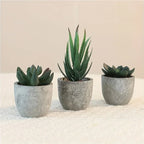 Green artificial succulents in concrete pots, low-maintenance decor - House of Avana