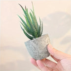 Green artificial succulents in concrete pots, low-maintenance decor - House of Avana