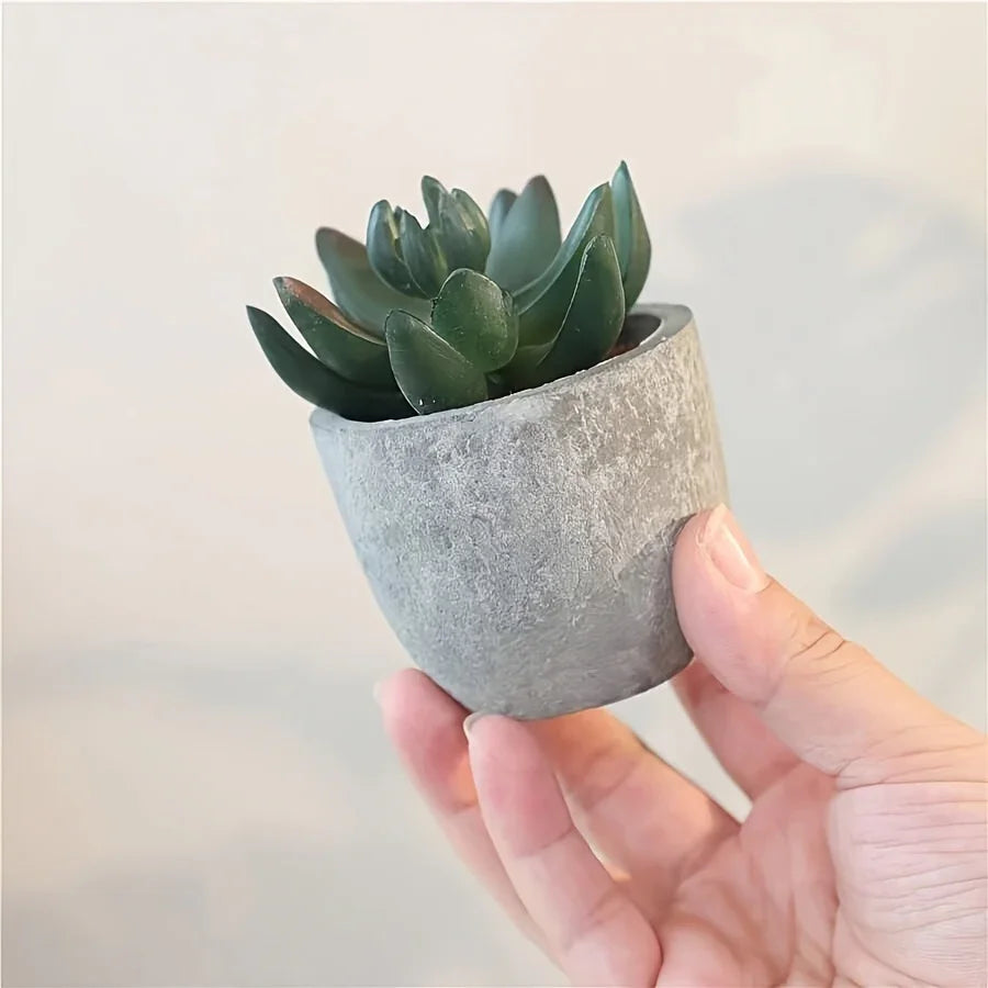 Green artificial succulents in concrete pots, low-maintenance decor - House of Avana