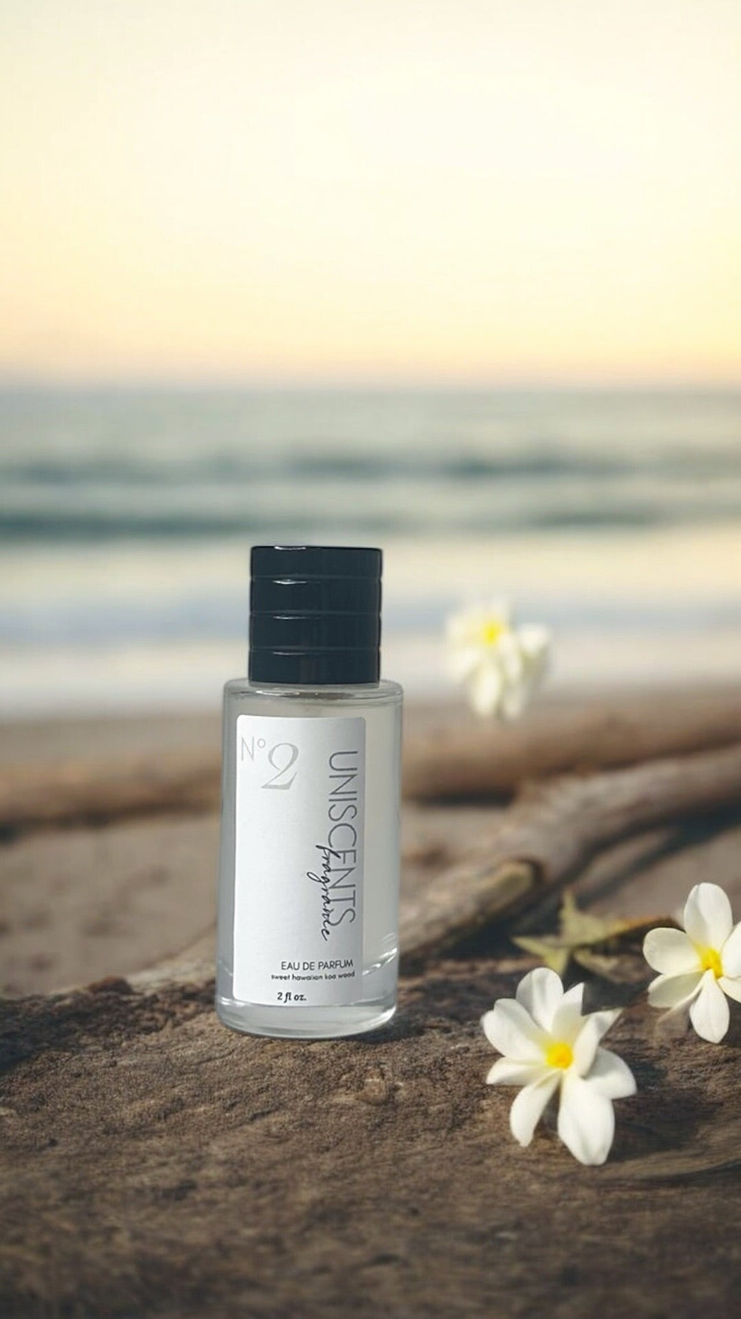 Artisan Perfume & Cologne Spray – 2oz Unisex Fragrance, Gender Neutral Moon Water Apothecary